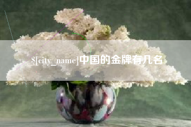 安康中国的金牌有几名
