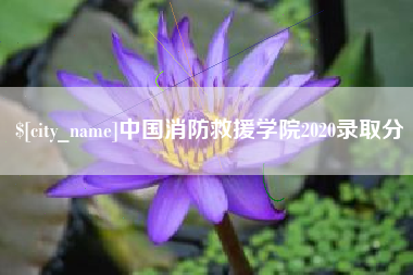 安康中国消防救援学院2020录取分
