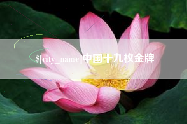 安康中国十九枚金牌