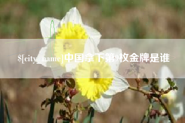 安康中国拿下第9枚金牌是谁
