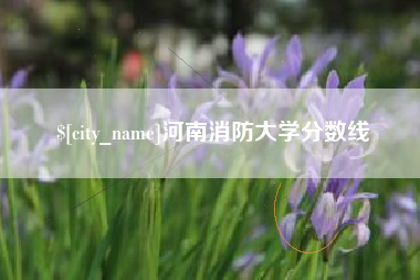 安康河南消防大学分数线
