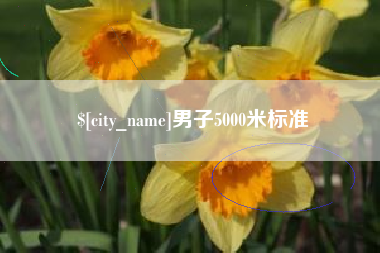 安康男子5000米标准