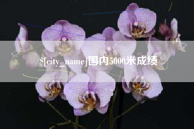 安康国内5000米成绩