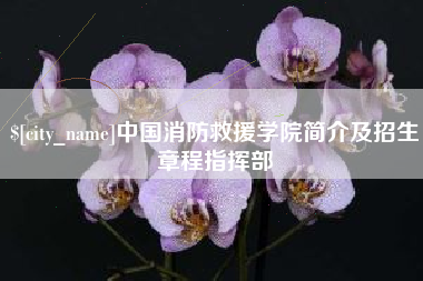 安康中国消防救援学院简介及招生章程指挥部