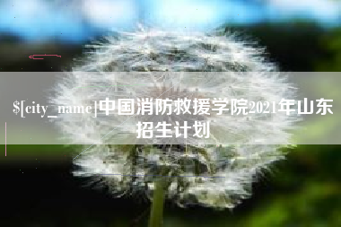 安康中国消防救援学院2021年山东招生计划