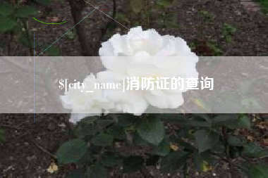 安康消防证的查询