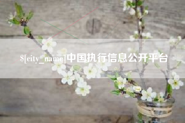 安康中国执行信息公开平台
