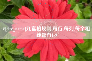 安康九宫格规则,每行,每列,每个粗线都有1-9