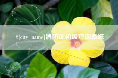 安康消防证初级查询系统