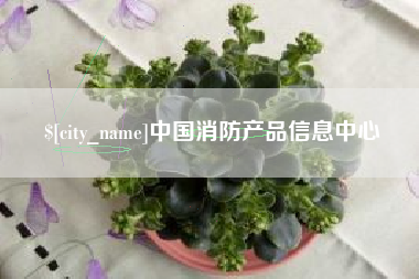 安康中国消防产品信息中心