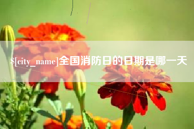 安康全国消防日的日期是哪一天