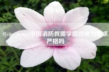 安康中国消防救援学院对视力要求严格吗