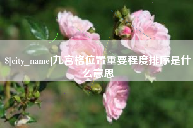 安康九宫格位置重要程度排序是什么意思