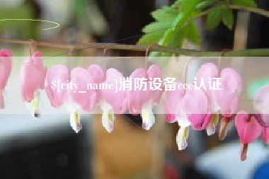 安康消防设备ccc认证
