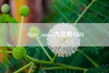 安康九宫格42633
