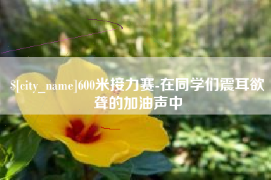 安康600米接力赛-在同学们震耳欲聋的加油声中