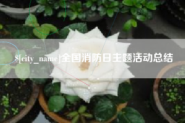安康全国消防日主题活动总结