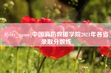 安康中国消防救援学院2021年各省录取分数线