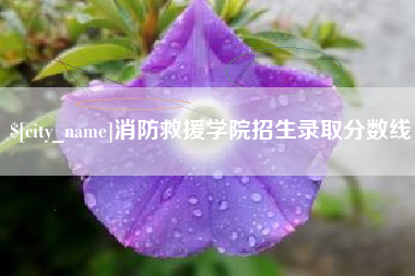 安康消防救援学院招生录取分数线