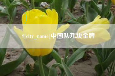 安康中国队九块金牌