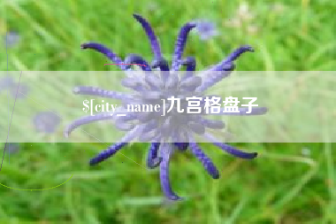 安康九宫格盘子