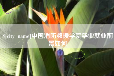 安康中国消防救援学院毕业就业前景如何