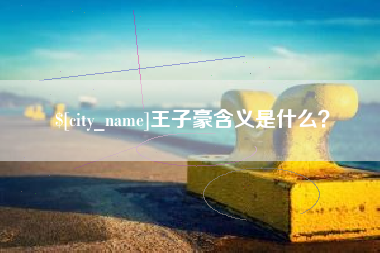 安康王子豪含义是什么？