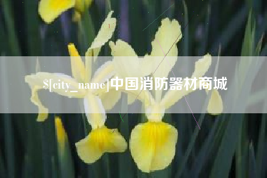 安康中国消防器材商城