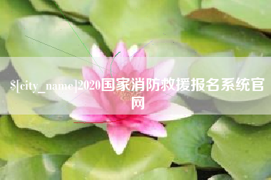 安康2020国家消防救援报名系统官网