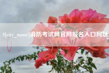 安康消防考试网官网报名入口网址