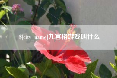 安康九宫格游戏叫什么