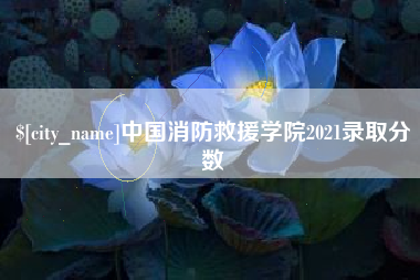 安康中国消防救援学院2021录取分数