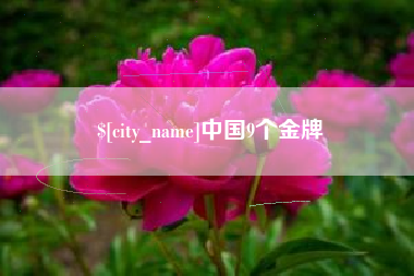 安康中国9个金牌