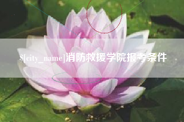 安康消防救援学院报考条件