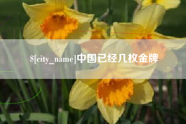 安康中国已经几枚金牌