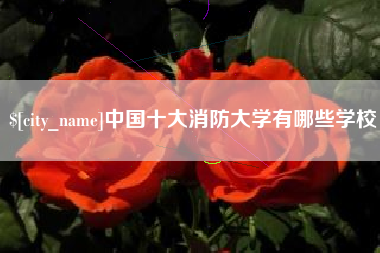 安康中国十大消防大学有哪些学校