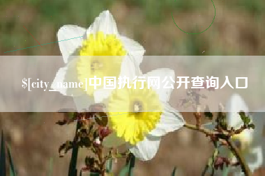 安康中国执行网公开查询入口