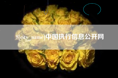 安康中国执行信息公开网