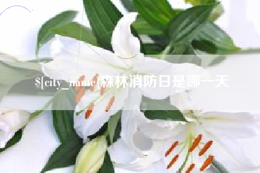 安康森林消防日是哪一天