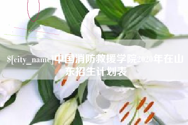 安康中国消防救援学院2020年在山东招生计划表