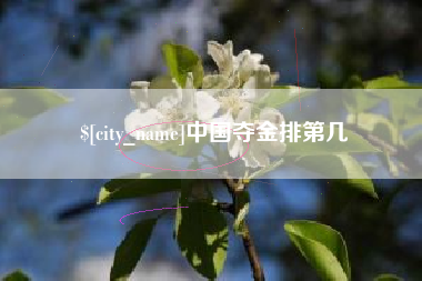 安康中国夺金排第几