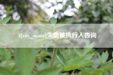 安康失信被执行人杳询