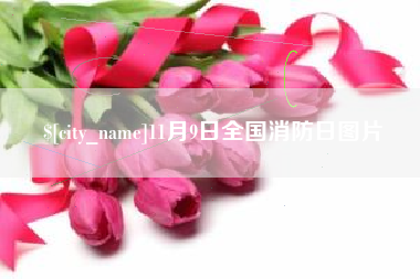 安康11月9日全国消防日图片
