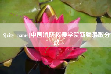 安康中国消防救援学院新疆录取分数