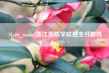 安康浙江消防学校招生分数线