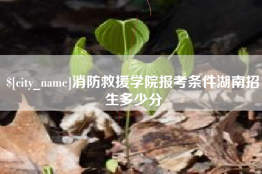 安康消防救援学院报考条件湖南招生多少分
