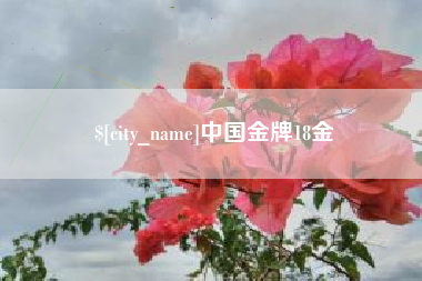 安康中国金牌18金