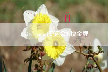 安康奥运会39块金牌