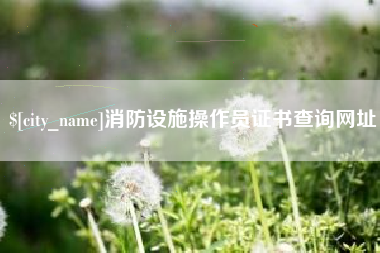 安康消防设施操作员证书查询网址