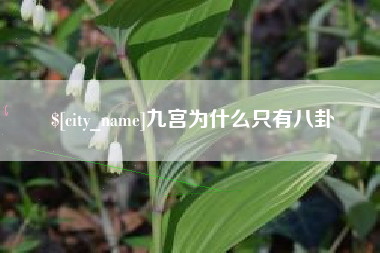 安康九宫为什么只有八卦